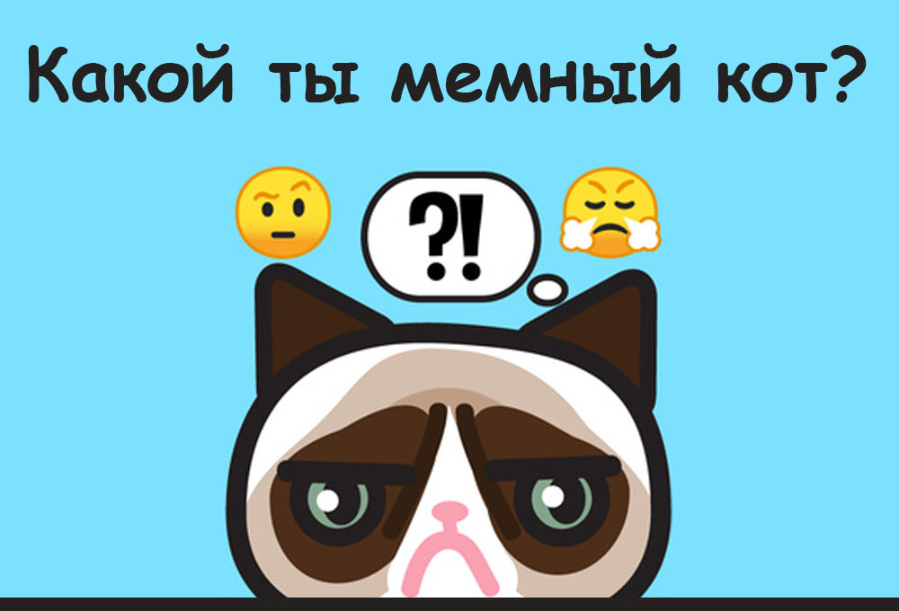 Узнай какой ты мемный кот