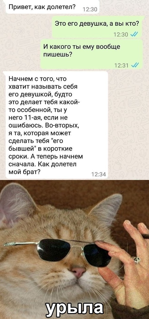 Мемы про котов Как долетел? Урыла! фото