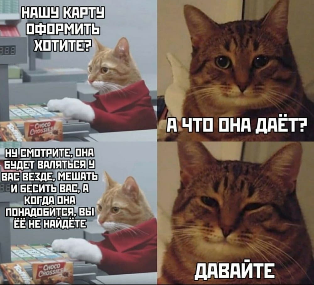 Мемы про котов Нашу карту формить хотите фото