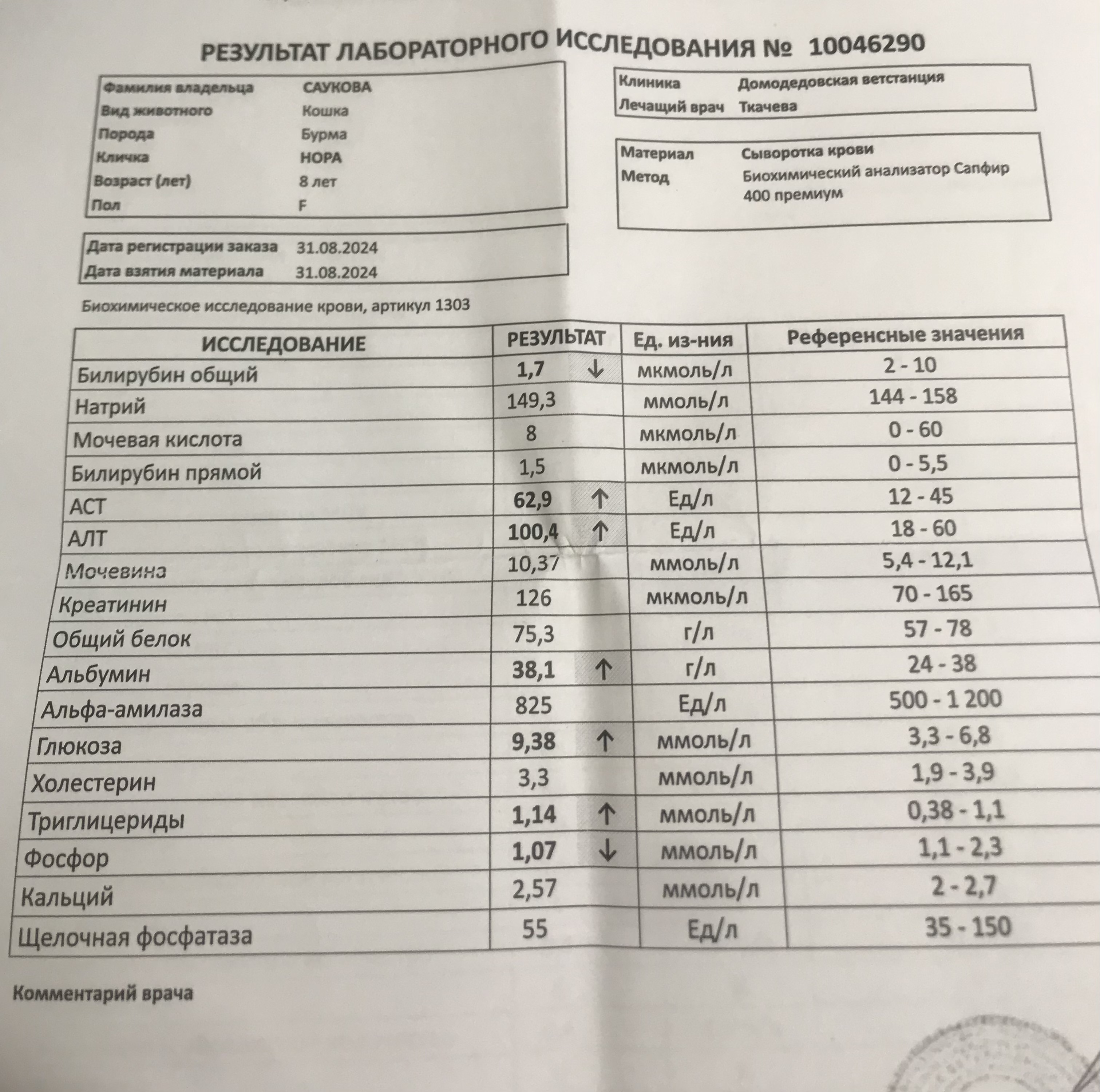 вопросы про кошек Результаты узи и анализов кошки. Помогите разобраться. фото