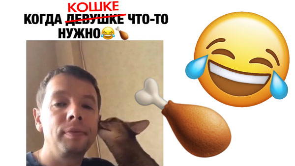 Когда кошке что то нужно